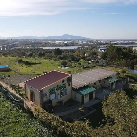 Taia * Μέριδα